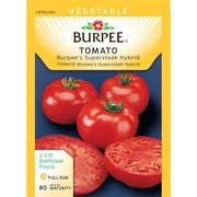 Burpee-Tomato, Burpee's Supersteak Hybrid Seed Packet