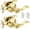 Polished Brass, variant on Brushed Gold Door Handles Front Exterior Door Handles with Lock and Keys, Keyed Alike Gold Entry Door Lever Wave Style Reversible, 2 Pack