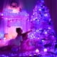 thumbnail image 5 of Cadena de luces JMEXSUSS, 50 m, 500 LED, color morado, 8 modos, resistente al agua, 5 of 7