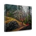 thumbnail image 2 of Tangletown Fine Art 'On the Road' Photographic Print on Wrapped Canvas, 2 of 2