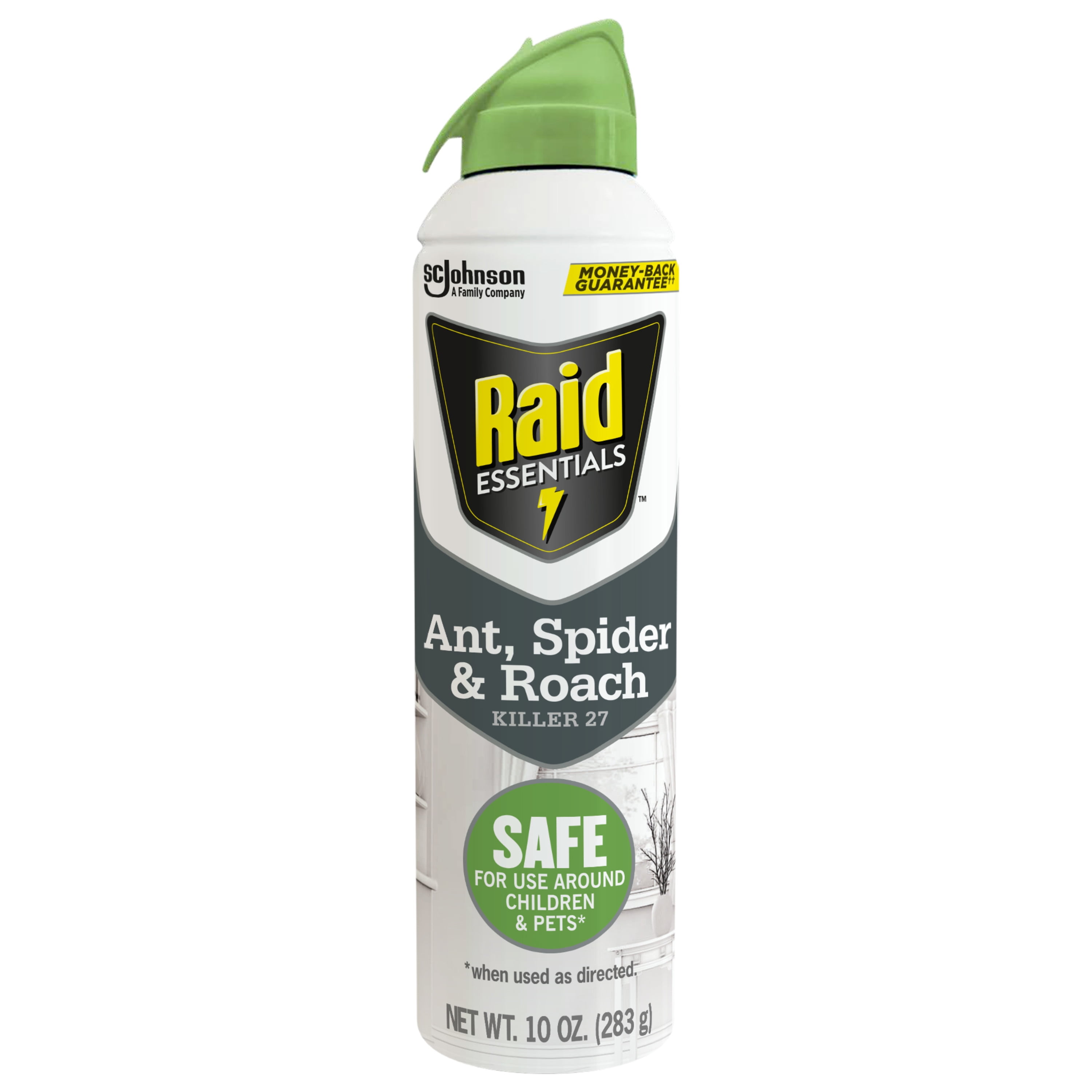 Raid Essentials Ant, Spider & Roach Killer 27, 10 oz Aerosol
