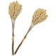 thumbnail image 2 of 2 Ramo de plantas artificiales blancas Decoración de trigo Grano Flor Rama Realista Simular Ramos de flores Fotografía Prop, 2 of 5