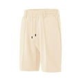 thumbnail image 3 of Mens Big And Tall Shorts European Solid Color Drawstring Waistband Pineapple Grid Business Beach Shorts Men Shorts Athletic Beige XXL, 3 of 4