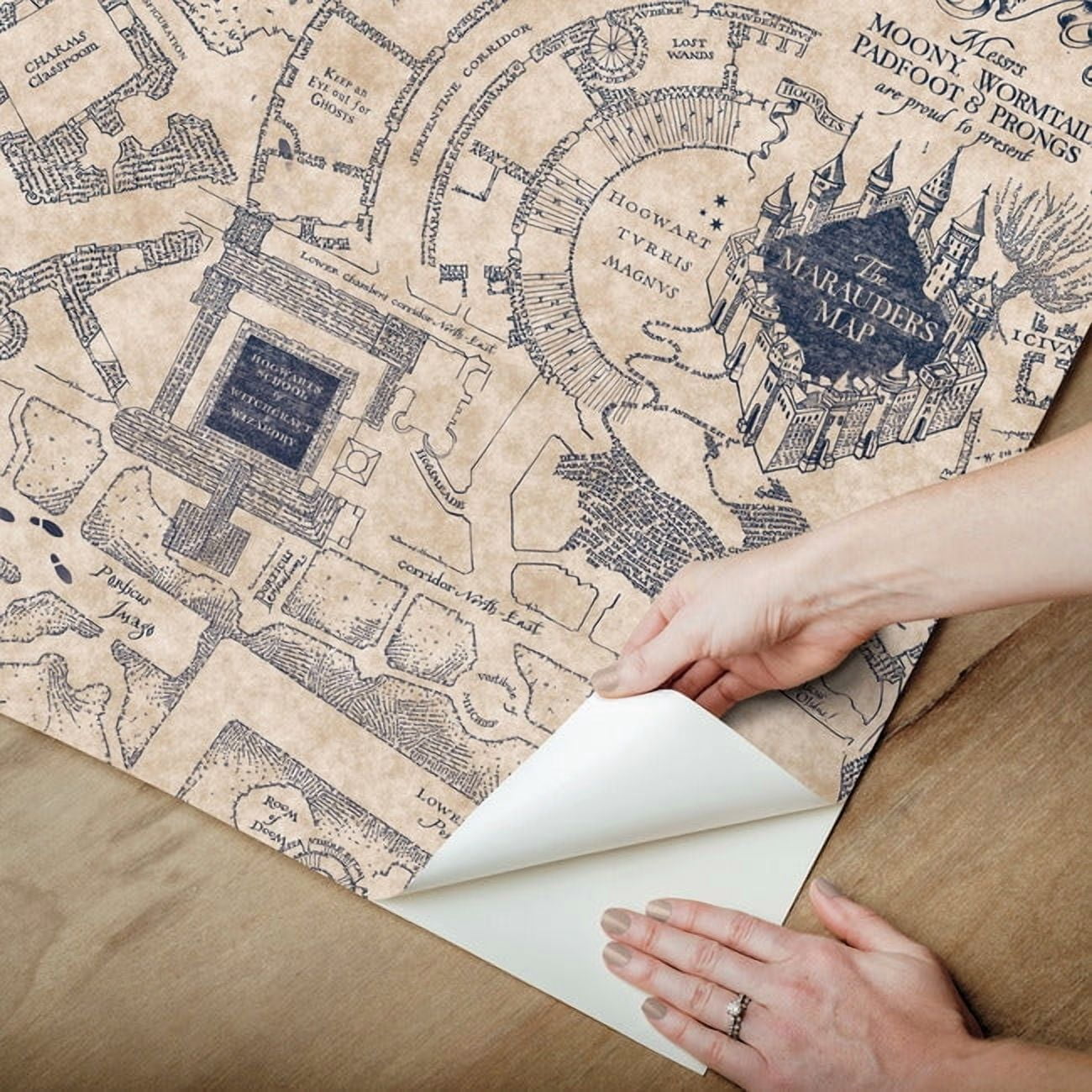 Harry Potter Marauder's Map Peel & Stick Wallpaper