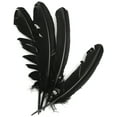 thumbnail image 2 of Zucker Turkey Quill Feathers 4/Pkg-Black, 2 of 2