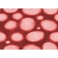 thumbnail image 1 of Ahgly Company Machine Washable Indoor Rectangle Transitional Light Coral Pink Area Rugs, 2' x 3', 1 of 7