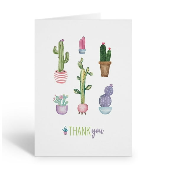 Stonehouse Collection | Succulent Thank You Note Cards | Cactus Cards for Any O