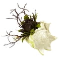 thumbnail image 3 of Nearly Natural 4840-S3 Wispy Succulent With Seashell - Set of 3, 3 of 3