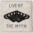 thumbnail image 2 of Borges, Victoria 26x26 White Modern Wood Framed Museum Art Print Titled - Live by the Moon I, 2 of 4