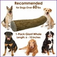 thumbnail image 5 of Deluxe Naturals 1-Pack Giant Whole Elk Antler Dog Chew, Natural Long-Lasting Chew Treat for Medium, Large, and Giant Dogs, 5 of 10