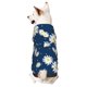 thumbnail image 1 of Balery Daisies Flowers Sudadera con Capucha para Perros Pequeños – Ropa para Mascotas, Disfraz para Perros y Gatos, Ideal para Fiestas y Cosplay-Small, 1 of 7