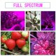 thumbnail image 3 of Encendiendo 50W Full Spectrum IP67 Planta impermeable Flor COB LED Grow Light (90-130V) Ndcxsfigh Libre de BPA, 3 of 7