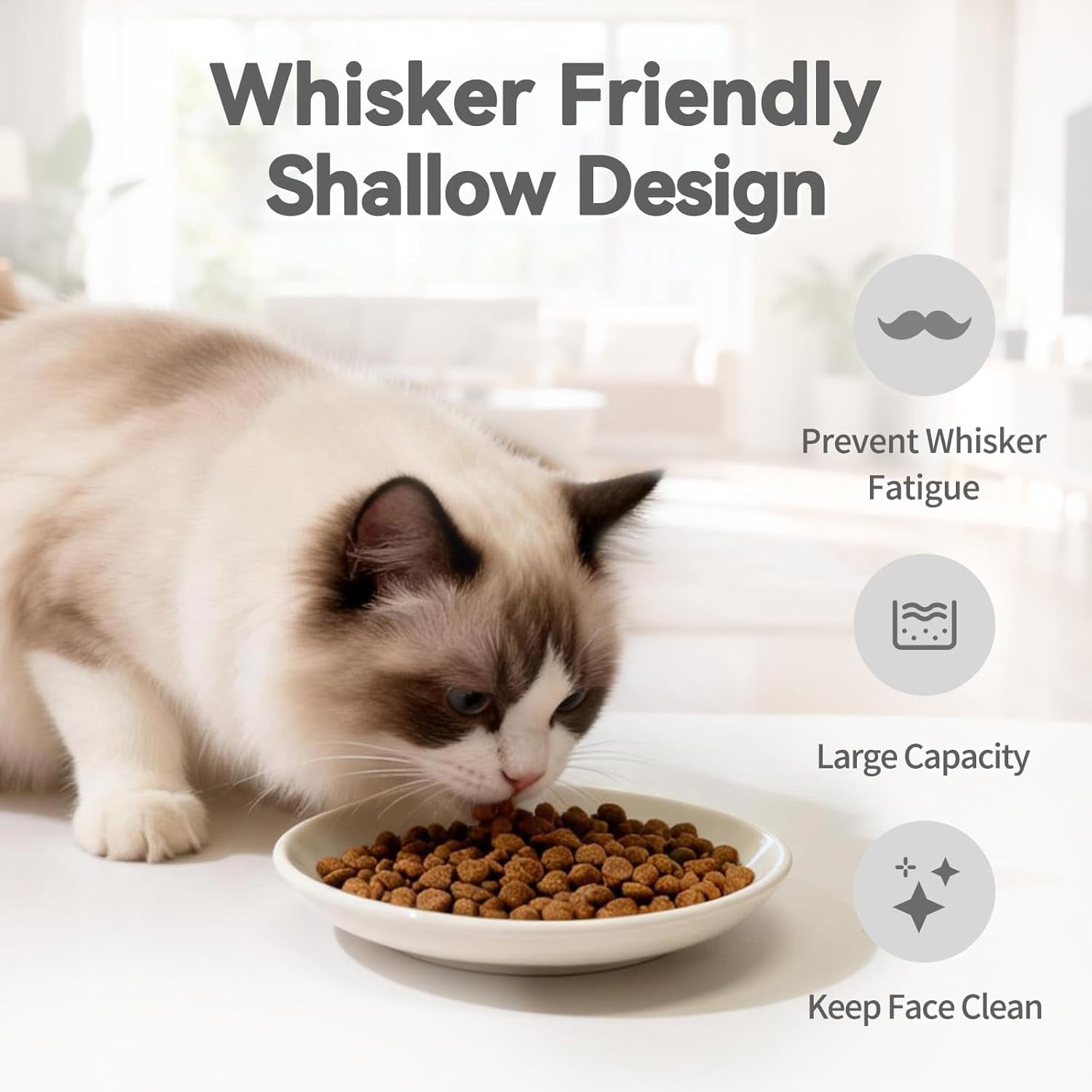 [8 Pack] Ceramic Cat Food Bowl, Cute Cat Bowls Whisker-Friendly, 5.9" Shallow Wide Kitten Plates, Easy to Clean Indoor Feeding Dishes