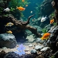 thumbnail image 7 of HonestMatter Glow in The Dark Stones, 10 Count Colorful Luminous Pebbles for Garden and Aquarium, Glowing Rocks for Walkways and Landscaping, 0.8 Inch, Light Green, 7 of 7