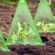 thumbnail image 3 of Cubiertas de Campanas de Proteccióse de Plantas, Cubias de Plantas de Cloche de Jardín Verde 20 piezas cuadradas con pico de tierra para verduras, 3 of 7