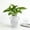 C, variant on Elainilye Decorative Vase Plastic Planter for Artificial Dried Flowers and Plants Home Tabletop Decor Office Desk Shelf Display