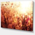thumbnail image 2 of Brown Shade Flowers in Sunshine - Large Flower Canvas Art Print, 2 of 3