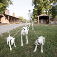 thumbnail image 3 of Fun Express Skeleton Dog Walker Halloween Decorating Kit - 4 Pc, 3 of 3