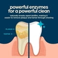 thumbnail image 3 of Chewsday 13ct MD Mint Dental Enzymatic, 3 of 7
