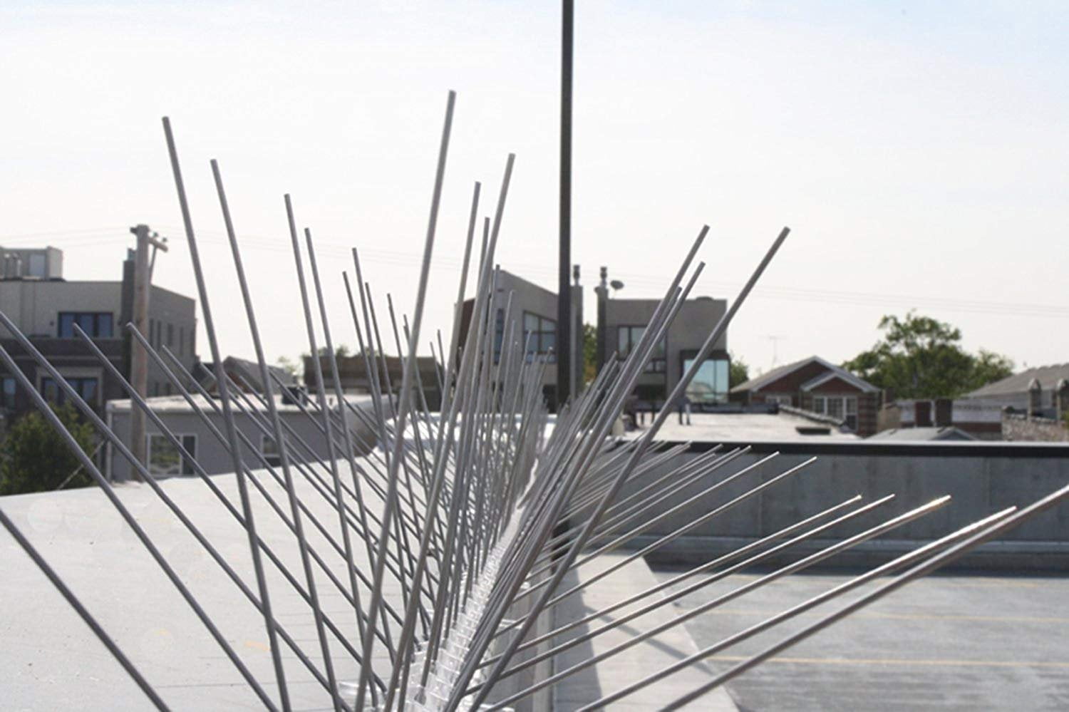 BIRD-X INC Bird-X Stainless Steel Bird Spikes Narrow - Bird Deterrent - Covers 50 Feet — Residential Use, Standard Application