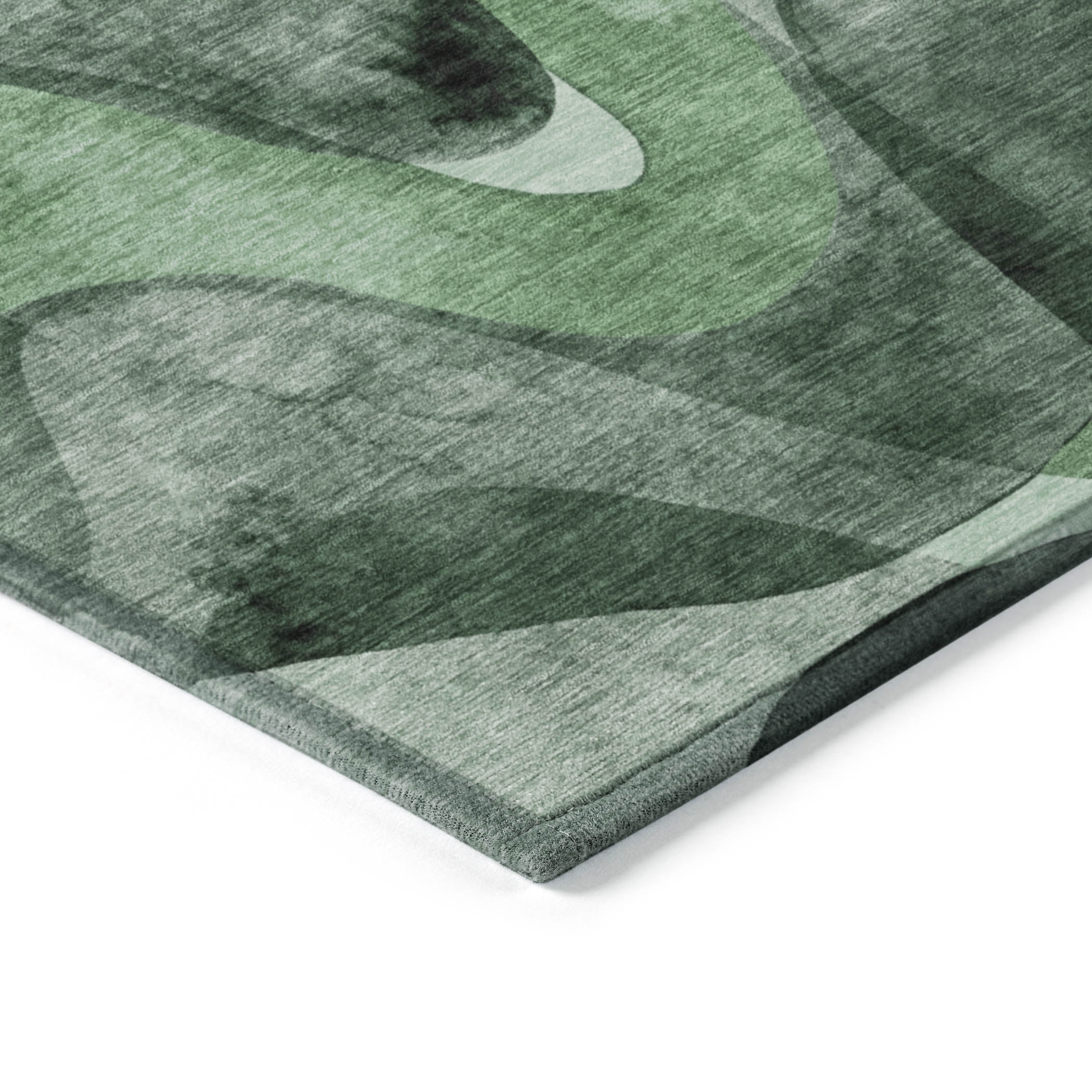 Addison Rugs Chantille Indoor/Outdoor Contemporary Abstract Fern Washable Rectangle Rug, 2'6" x 3'10"