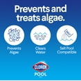 Clorox Pool&Spa Algaecide + Clarifier for Swimming Pools, 1 Gallon