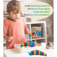 thumbnail image 4 of Lishi Realistic Articulated Slug Fidget Toy - 2pcs, 4 of 5