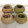 thumbnail image 1 of Vickerman H2SPL100 5-7 Po Gousse de Basilic Sapa, 1 of 1