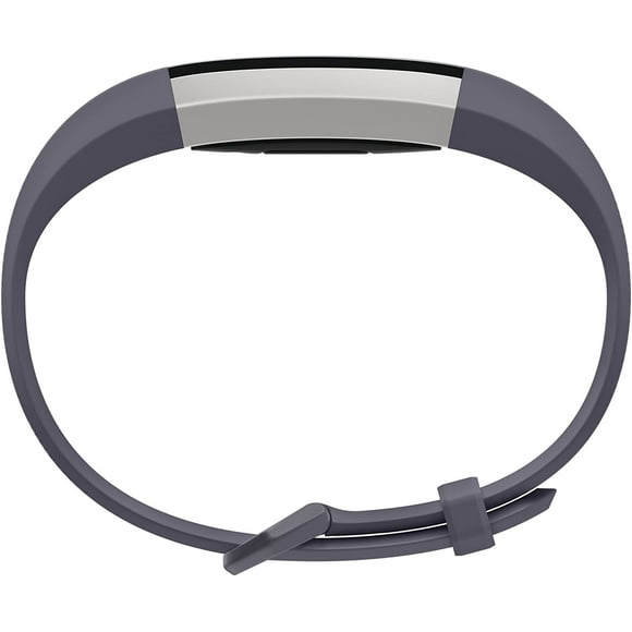 Alta HR Fitness Activity Tracker Smart Watch Blue/Gray
