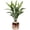 Coffee Color, variant on Empty Reed Diffuser Bottle, Glass Diffuser Bottle with Sticks Fake Greennery Plants, Fragrance Aromatherapy Essential Oil DIY Jar for Home Shelf Bedroom Bathroom Office Decor