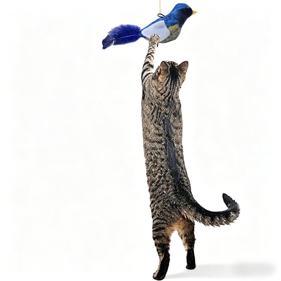 Interactive Hanging Bird Cat Teaser with Realistic Bird Sound & Feathers, Adjustable Retractable Rope, Boredom Relief Exercise Toy for Indoor Cats & Kittens, Blue
