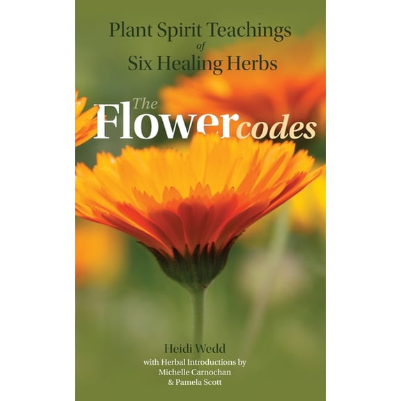 The Flower Codes Plant Spirit Teachings of Six Healing Herbs, Book 2, (Paperback)