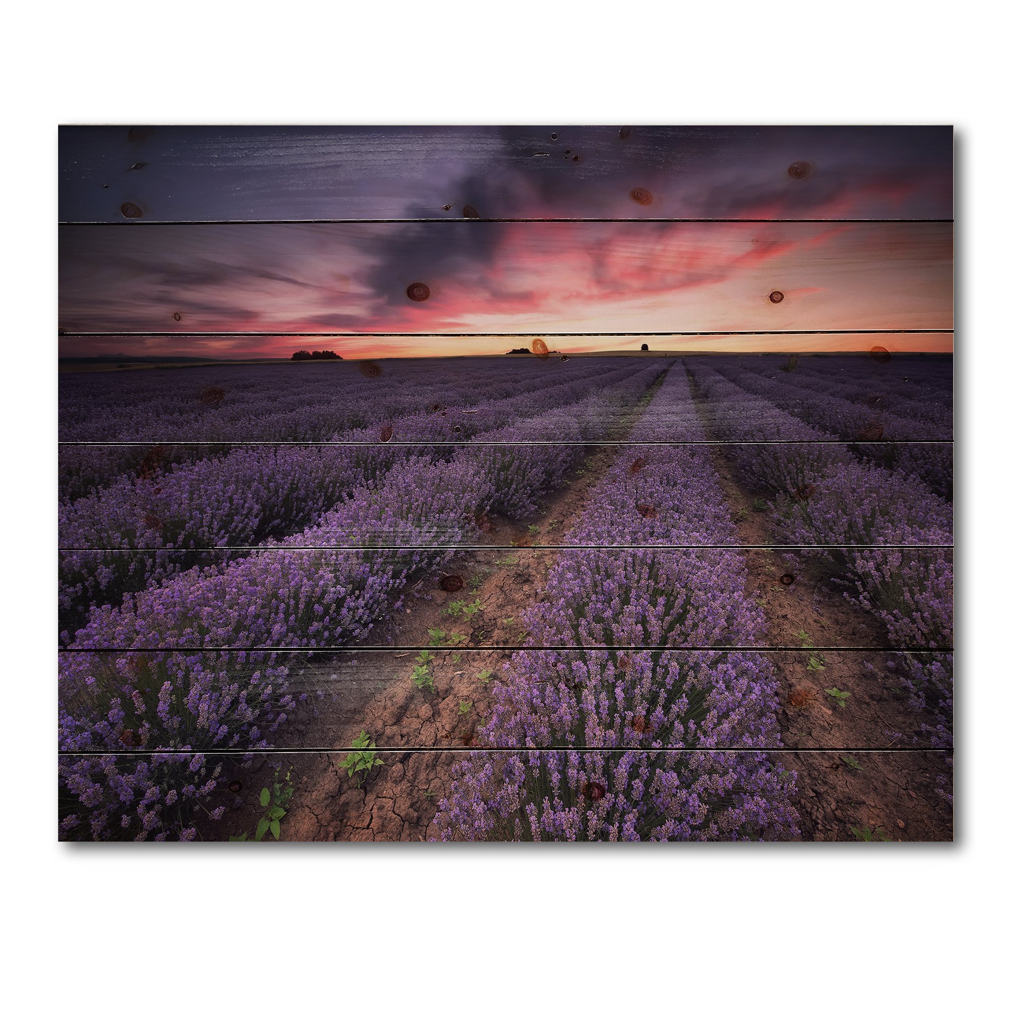 Designart 'Dramatic Clouds and Sunrise Over Lavender Field IX' Farmhouse Print on Natural Pine Wood