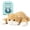 Orange cat, variant on IKASA 5lbs Weighted Stuffed Animal German Shepherd Dog,26 inches Plush Toy Giant Large Big Jumbo Soft Puppy,Huge Size Cute Plushie,Gift for Kids