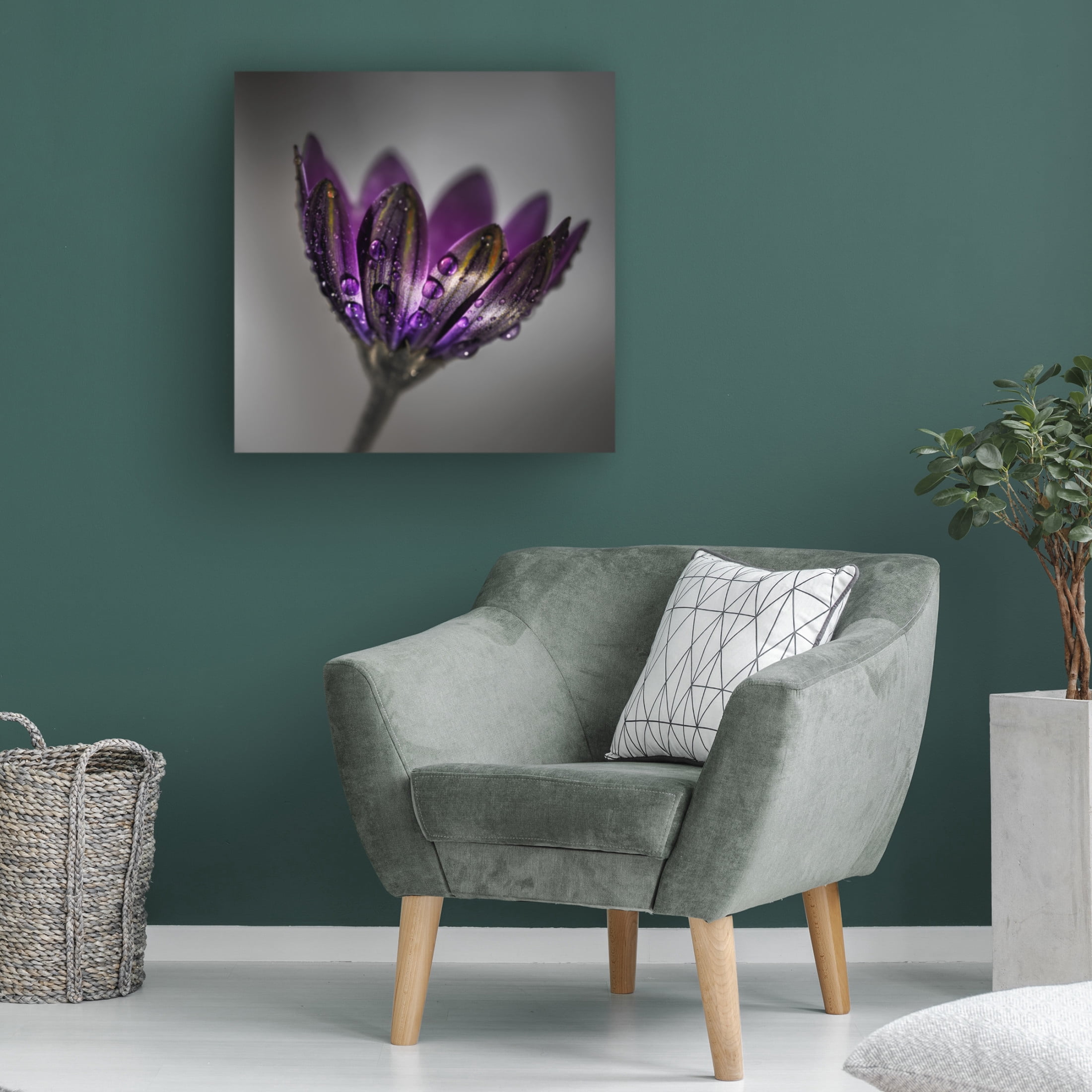 Trademark Fine Art Francis Wilson  Broad-Leaved Anemone Canvas Wall Art