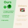 thumbnail image 3 of Juego Gonggi PETBSNVB con peso real, 2 paquetes con 5 gonggi, 3 of 6