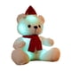 thumbnail image 1 of Muñeco de peluche Teddys Christmas Bear, blanco, 23 cm, 1 of 1