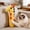 1, variant on Plush Number Animal Dog & Cat Squeaky Toy, Soft Interactive Chew Toy with Cartoon Shapes for Training, Play & Emotional Comfort for Pets(9,One Size)