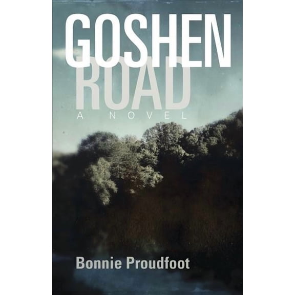 Goshen Road : A Novel (Paperback)