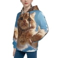 thumbnail image 2 of Fotbe Playful Cat Fisheye View Pattern Youth Pullover Hooded Sweatshirt, Boys Hoodie, Kangaroo Pocket Hoodie for Kids Girls -Small, 2 of 6