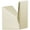 Brilliance Polished Nickel, variant on Delta 74335 Trillian Single Robe Hook - Nickel