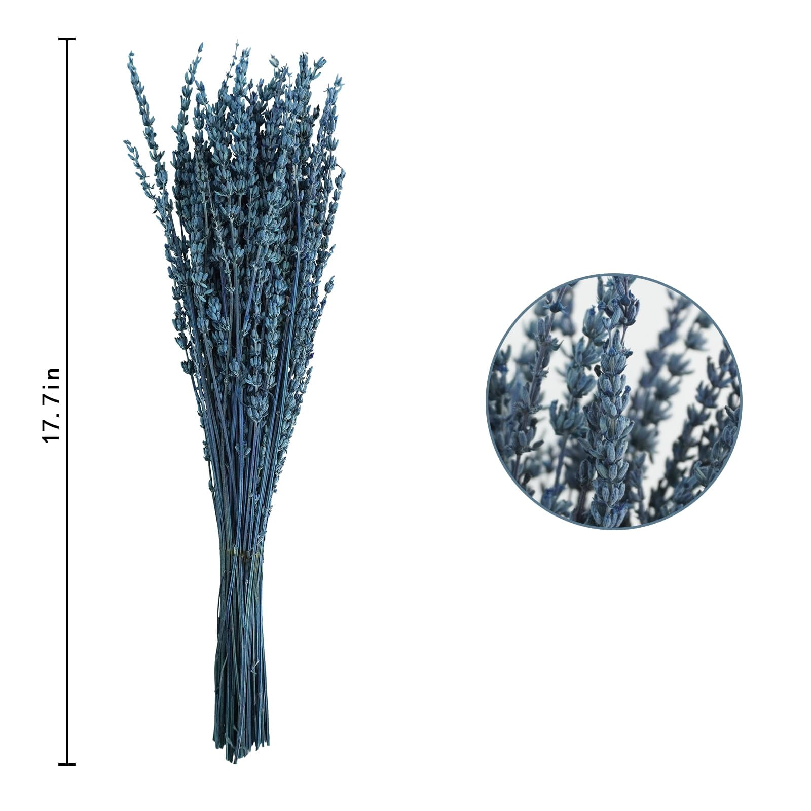 Dried Preserved Lavender Flowers Bundle Blue-1.76oz 16" Bouquet Home Fragrance Craft Decor