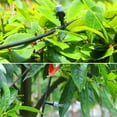 thumbnail image 3 of GustaveDesign 33FT Hose Air Misting Cooling System, Patio Misting System with 10pcs Mist Nozzle, Outdoor Misting Kit for Patio Garden Trampoline for Waterpark, 3 of 9