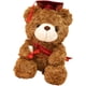 thumbnail image 1 of Oso de graduación 2023 (gorra roja), muñeco de oso de graduación, osito de peluche, oso, gorro de graduación, oso, 1 of 5