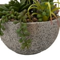thumbnail image 4 of Anko Succulent Plant in Pot, 4 of 6