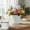 White 1Z9, variant on Rvkxad Simple Style Plastic Flower Pot, 14x12cm Multi-Season Plant Pot for Indoor Outdoor, Flower Pot Plant Container