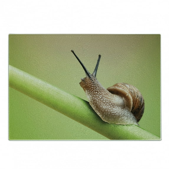 Snail Cutting Board, Common Garden Animal on Stem of Plant Nature Eco Environmental Picture, Decorative Tempered Glass Cutting and Serving Board, in 3 Sizes, by Ambesonne