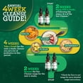 thumbnail image 5 of GuruNanda Gutcleanse 2-Step Kit - Dietary Supplement to Help with Digestion - Blend of Fulvic Acid, Wormwood, Clove & Neem Extract, 2x1 fl oz, 5 of 8