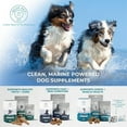 thumbnail image 7 of Blue Pet GoActive Joint & Muscle Supplement Chicken 90g Chicken 30 pieces, 7 of 7