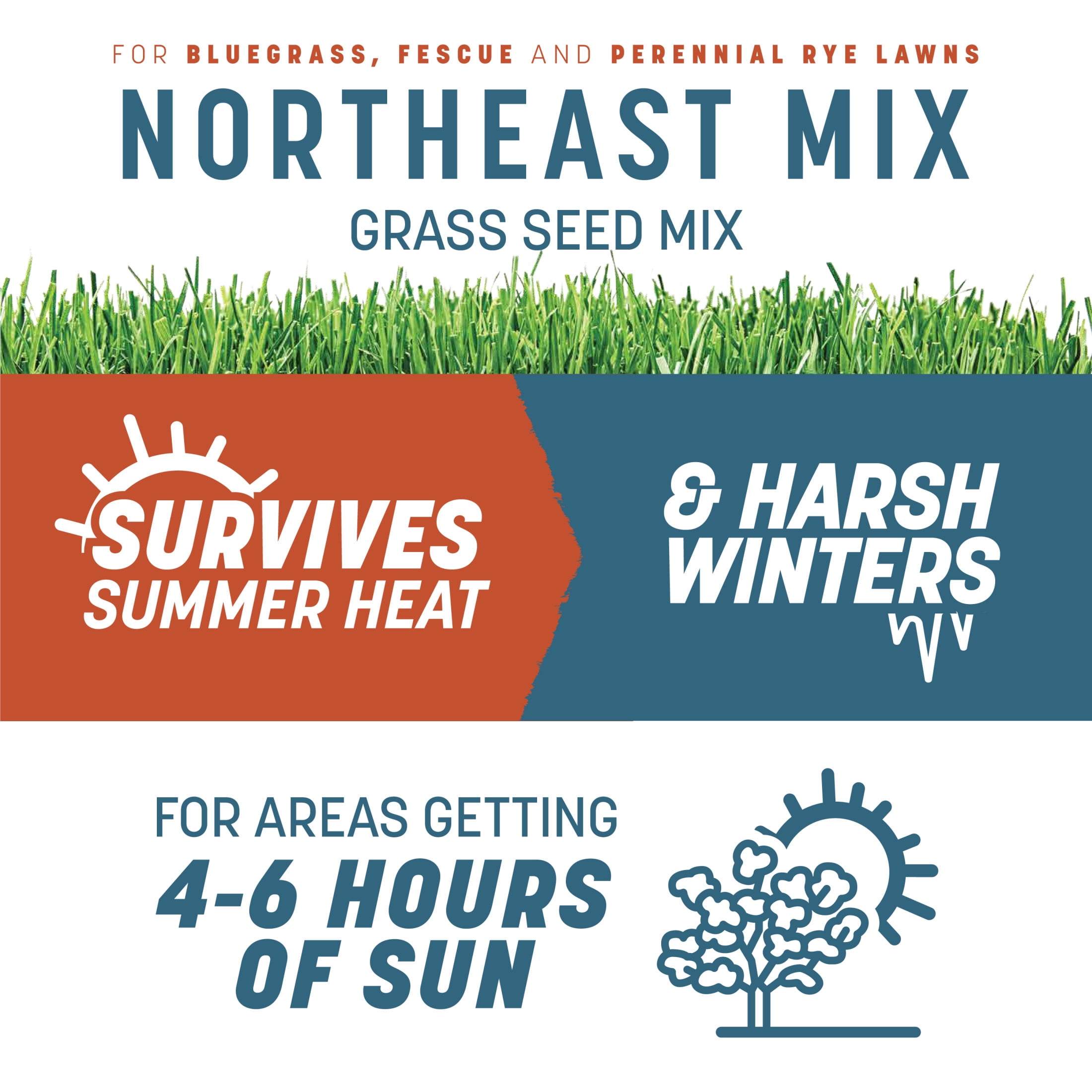 Pennington Smart Seed Northeast Grass Seed and Fertilizer Mix, for Sun to Partial Shade, 20 lb. New Bag